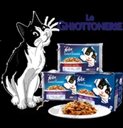 Immagine di CIBO GATTI LE GHIOTTONERIE POLLO       100G GELATINA C/POMOD. FELIX PURINA 01628227