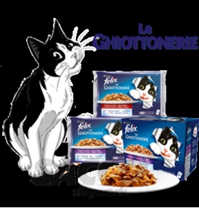 Immagine di CIBO GATTI LE GHIOTTONERIE TROTA       100G GELATINA C/FAGIOL.FELIX PURINA 02636481