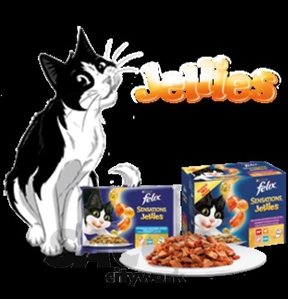 Immagine di CIBO GATTI SENSATIONS POLLO C/CAROTE    100G GELATINA          FELIX PURINA 02636795