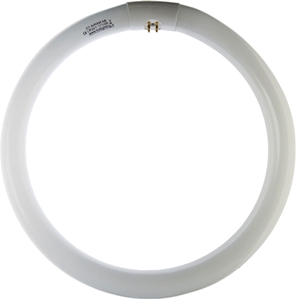 Immagine di LAMP.NEON CIRCOLARI 22W D.CM21