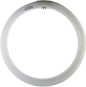 Immagine di LAMP.NEON CIRCOLARI 32W D.CM30