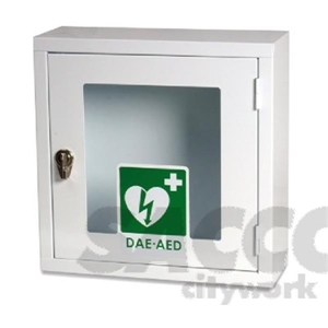 Immagine di ARMADIO PER DAE MM 425X425X180 MET BIANCO 1 ANTA C/CHIAVE PVS 03874301